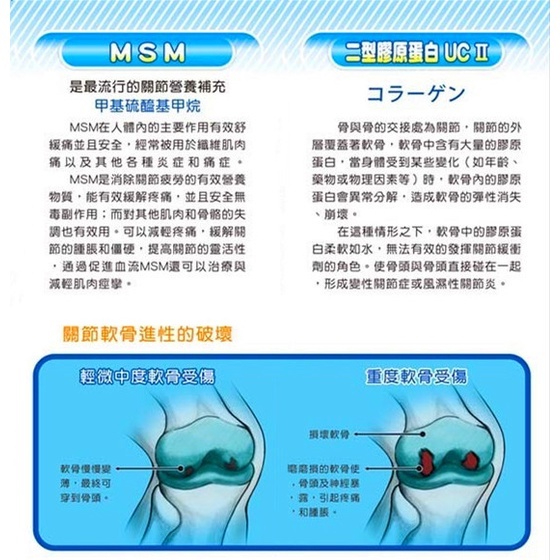怡蕙 關固優 乳油木果(日本產） 120粒 關節保健 MSM 軟膠囊食品-細節圖5