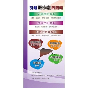怡蕙 保芯甘 素食膠囊 顧肝食品（德國進口） 60/240粒-細節圖5