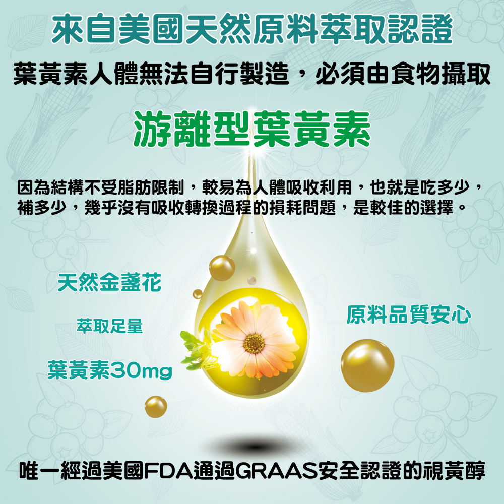 保佳康-細節圖5