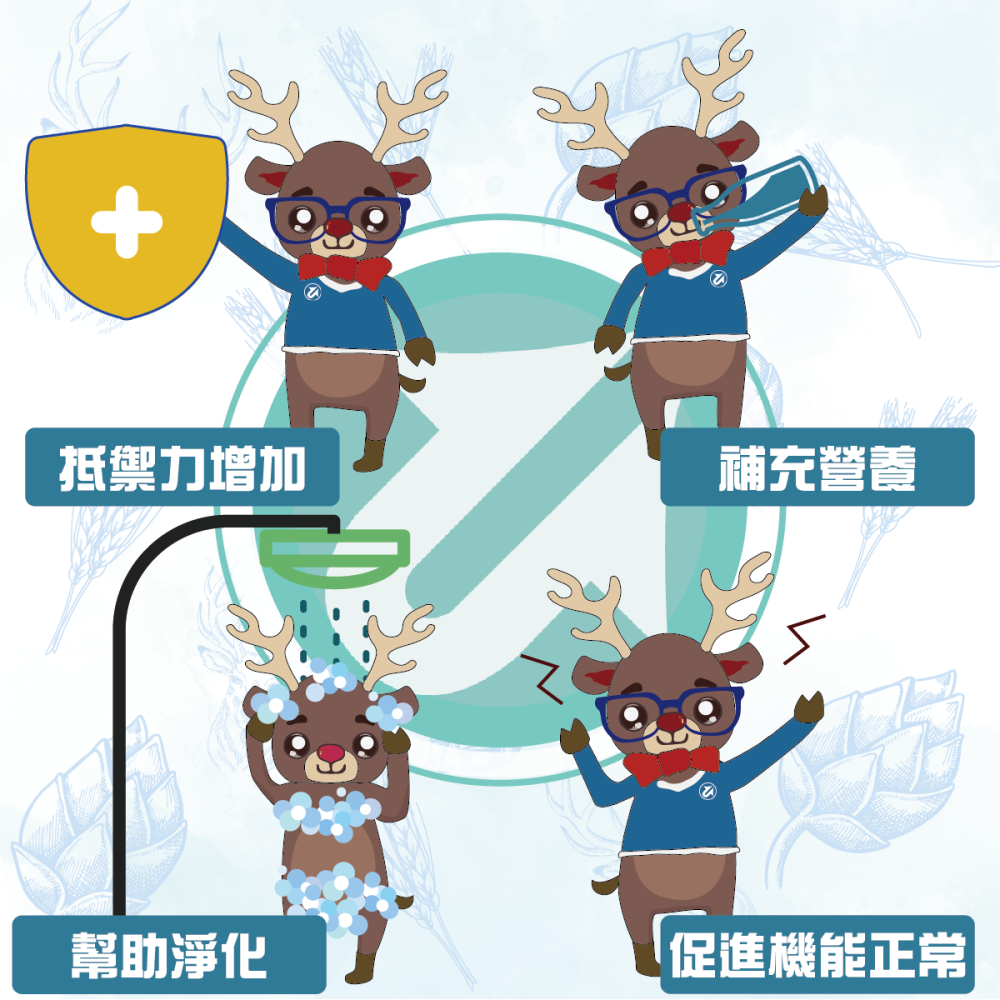 快樂人生-細節圖8