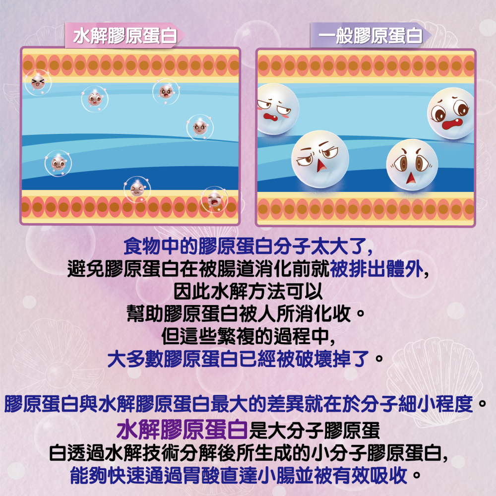 膠原美C-細節圖6