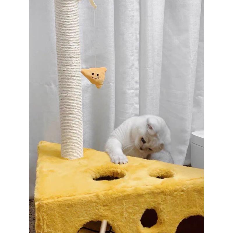 ｜𝕎𝕚𝕟𝕟𝕚𝕖溫妮｜台灣出貨 起司貓跳台🧀️起司貓爬架 起司造型貓跳台 起司貓抓板 貓咪舒壓-細節圖6