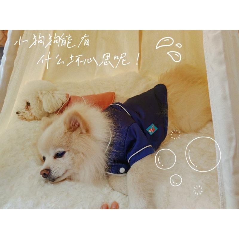 ｜𝕎𝕚𝕟𝕟𝕚𝕖溫妮｜現+預！多色寵物帳篷窩 大容量寵物帳篷 狗狗帳篷 貓咪帳篷-細節圖2