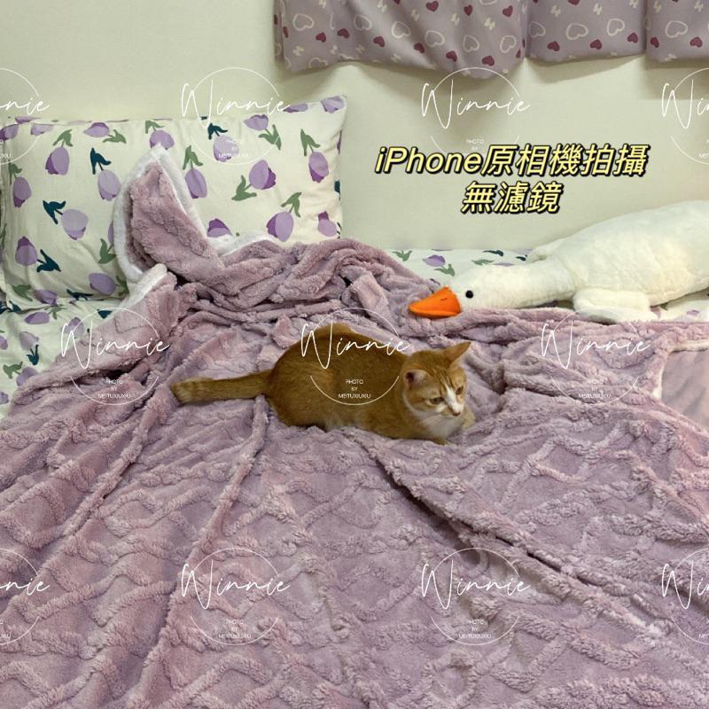 ｜𝕎𝕚𝕟𝕟𝕚𝕖溫妮｜台灣出貨 塔芙蓉羊羔毛毯子 冬季保暖毯 雙人毛毯 雙人加大毛毯-細節圖2