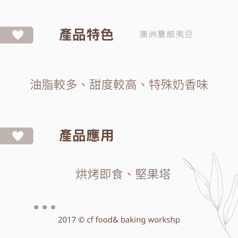 【台灣巧婦】生夏威夷豆（火山豆）｜澳洲4L／南非4L／南非4XL 剖半・原味堅果・600g／3KG-細節圖2