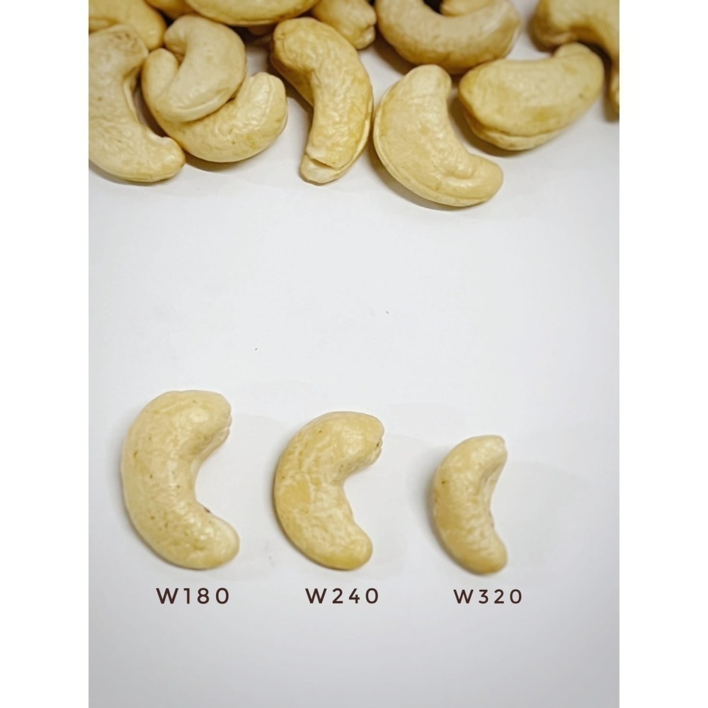 【台灣巧婦】越南 生腰果仁｜W180／W240／W320／腰果片・無調味堅果・600g／3KG-細節圖3