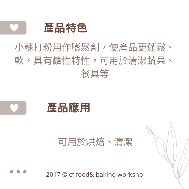 【台灣巧婦】義大利 食品級小蘇打粉｜清潔／烘焙／多用途天然粉末．450g-細節圖2