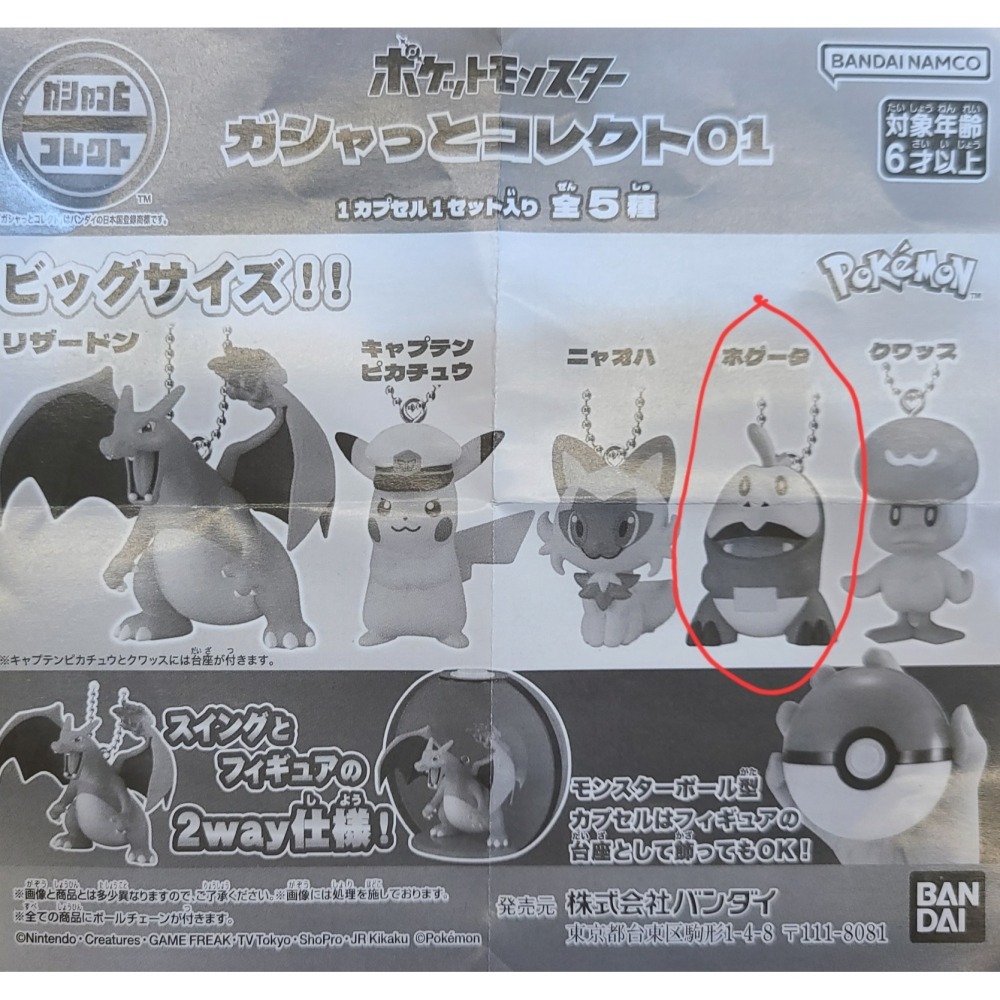 【Pokemon 】精靈寶可夢 呆火鱷 扭蛋-細節圖2
