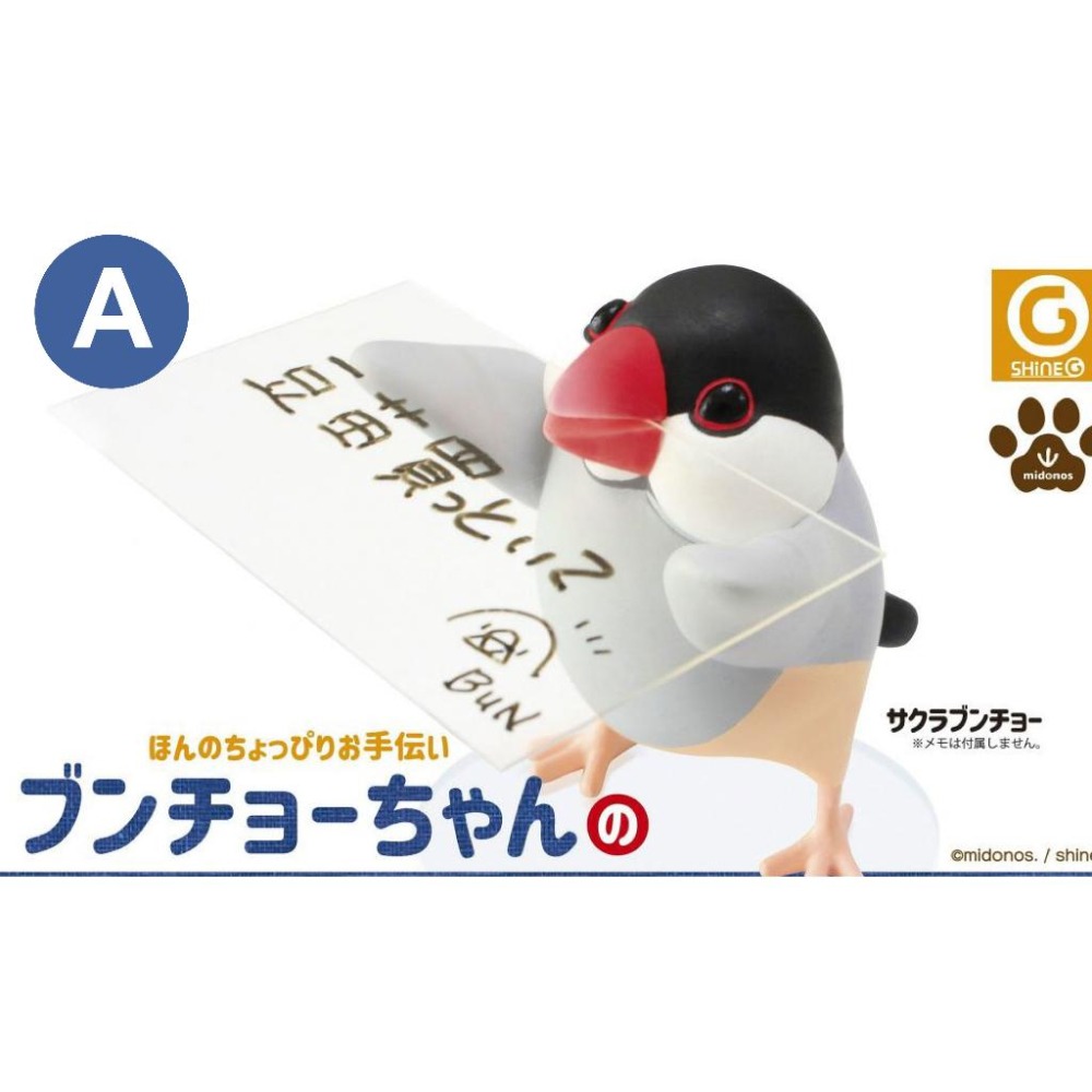 【現貨】日版 Shine-G《 文鳥醬的記事夾 》卡夾 卡片 名片 麻雀 造型公仔 扭蛋 轉蛋 模型 盒玩 玩具-細節圖2