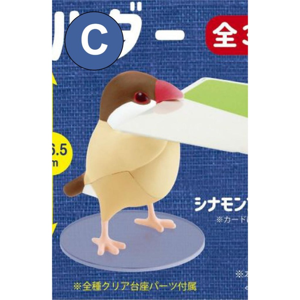 【現貨】日版 Shine-G《 文鳥醬的記事夾 》卡夾 卡片 名片 麻雀 造型公仔 扭蛋 轉蛋 模型 盒玩 玩具-細節圖3