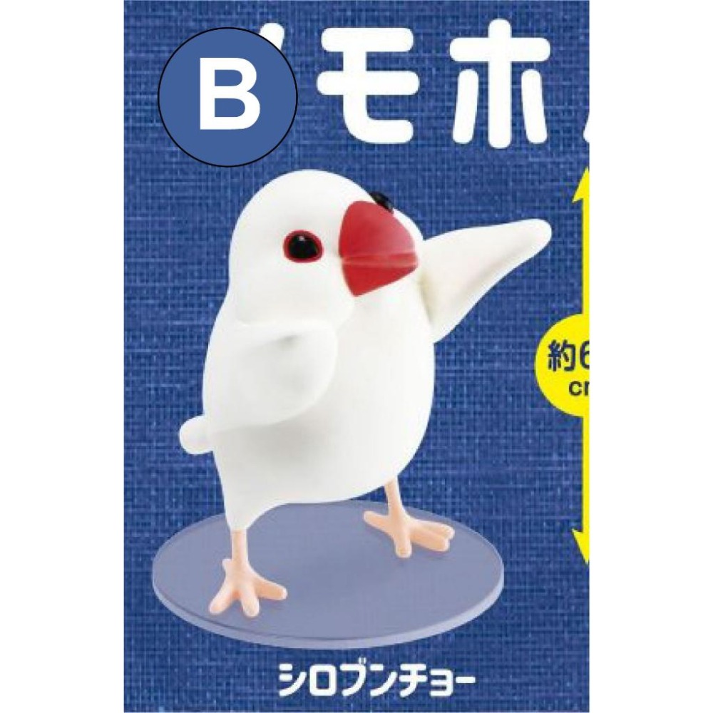 【現貨】日版 Shine-G《 文鳥醬的記事夾 》卡夾 卡片 名片 麻雀 造型公仔 扭蛋 轉蛋 模型 盒玩 玩具-細節圖4