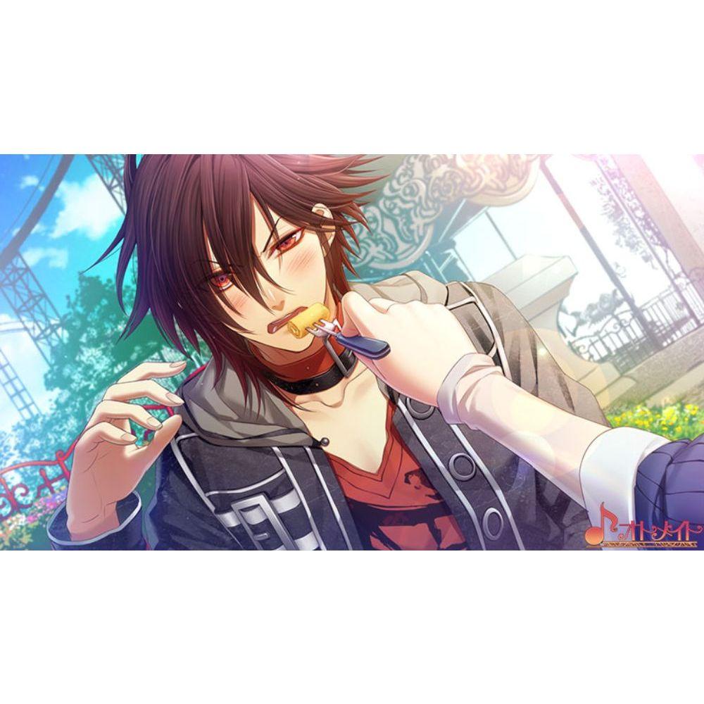 【現貨】NS 任天堂 SWITCH《 失憶症 Amnesia Later x Crowd  》 乙女遊戲 中文版-細節圖7