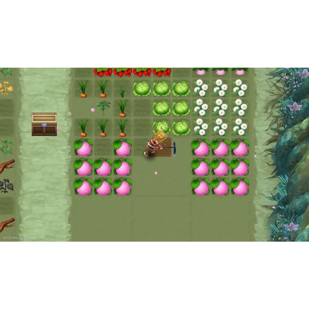 【現貨】NS 任天堂 SWITCH《 符文工廠 3 豪華版 》 中文版 03/30上市-細節圖2