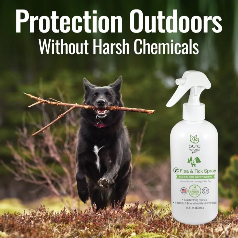 【NSF天然】香草精萃蚤蝨防護噴霧-美國自然獸醫認證，狗狗專用-全新高效噴瓶/環保填充瓶-細節圖3