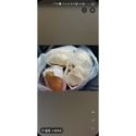 肉包~台中名產伴手禮~品香包子店-規格圖1
