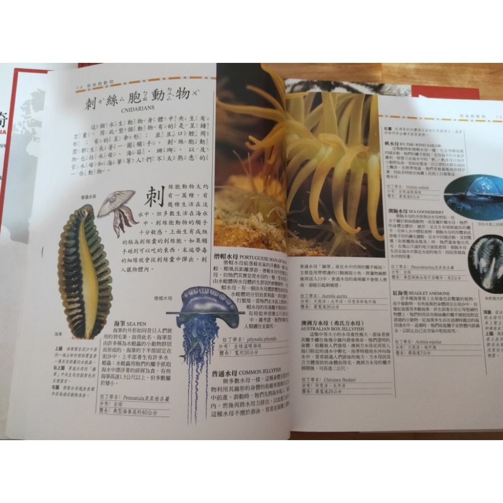 書籍-動物大探奇（上&中&下）-細節圖3