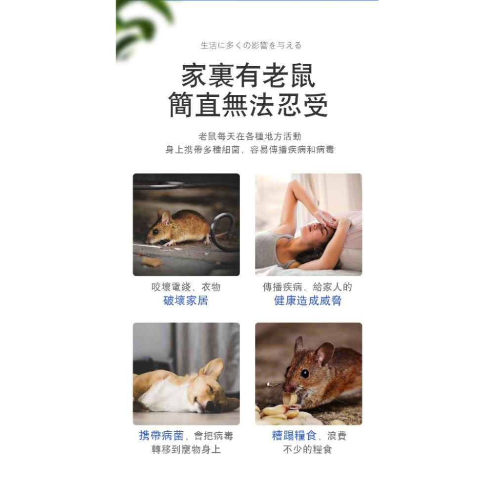 ✅日本直營驅鼠技術【台灣現貨】驅鼠魔盒 驅趕率98.8% 強力驅趕 抓老鼠 除老鼠 驅鼠器 強力驅趕 防鼠 凝膠 驅鼠器-細節圖3