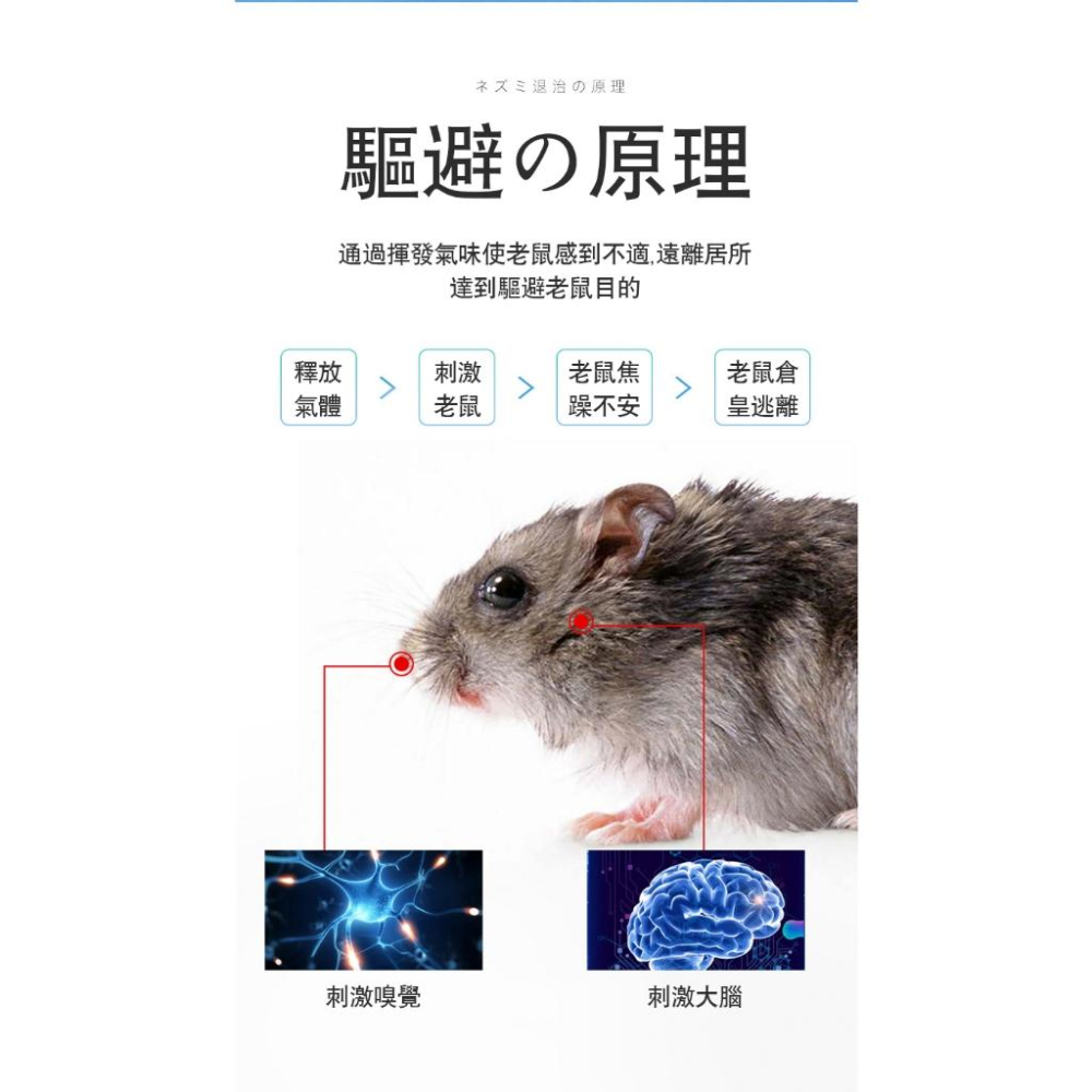 ✅日本直營驅鼠技術【台灣現貨】驅鼠魔盒 驅趕率98.8% 強力驅趕 抓老鼠 除老鼠 驅鼠器 強力驅趕 防鼠 凝膠 驅鼠器-細節圖4
