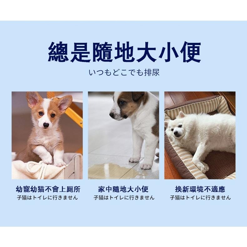 ✅日本直營【台灣現貨】寵物誘導劑 500ml 寵物定位排便誘導劑 訓練寵物排便 狗狗廁所 誘導劑 誘導液 大小便訓練-細節圖3