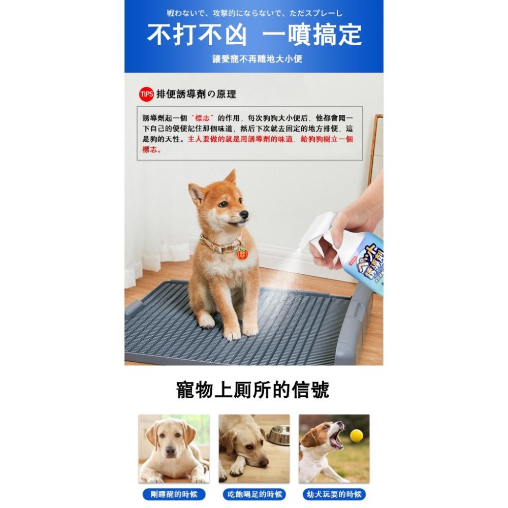 ✅日本直營【台灣現貨】寵物誘導劑 500ml 寵物定位排便誘導劑 訓練寵物排便 狗狗廁所 誘導劑 誘導液 大小便訓練-細節圖4