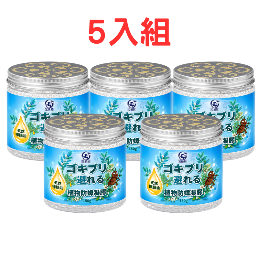5入組