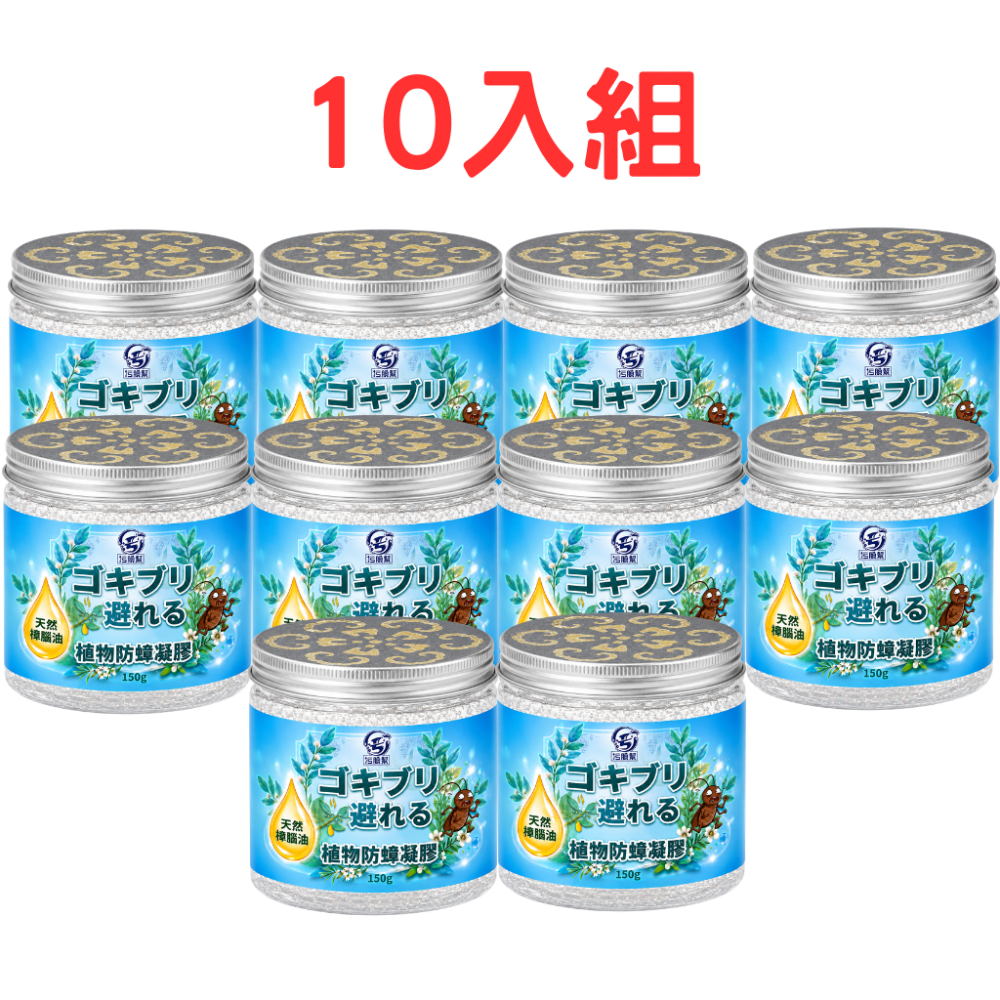 10入組