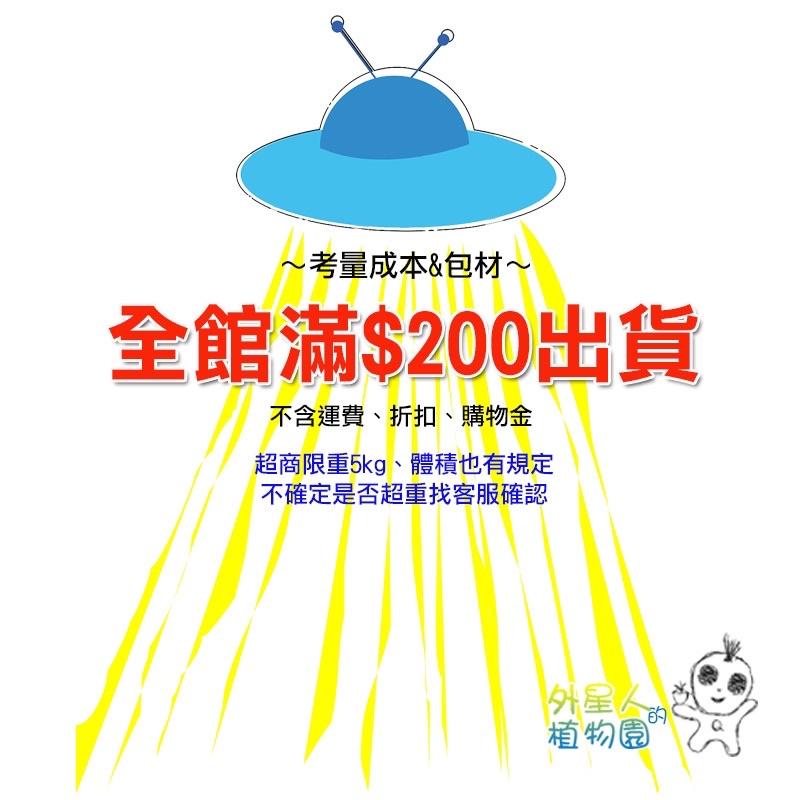 皇帝 蘆薈科  多肉 【外星人的植物園】-細節圖3