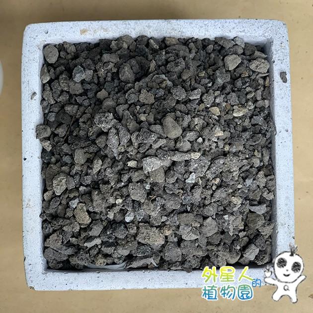 現貨【滿額免運】黑火山石 1L 小量包 【外星人的植物園】-細節圖3