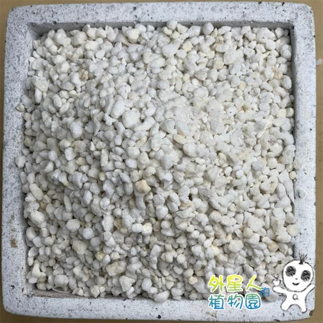 【外星人的植物園】珍珠石 0.5公升 1公升小包裝 珍珠石  介質現貨【滿額免運】 多肉 蕨類 蘭花 介質 觀葉植物-細節圖2