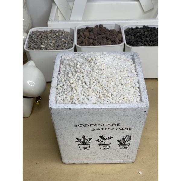 【外星人的植物園】珍珠石 0.5公升 1公升小包裝 珍珠石  介質現貨【滿額免運】 多肉 蕨類 蘭花 介質 觀葉植物-細節圖3