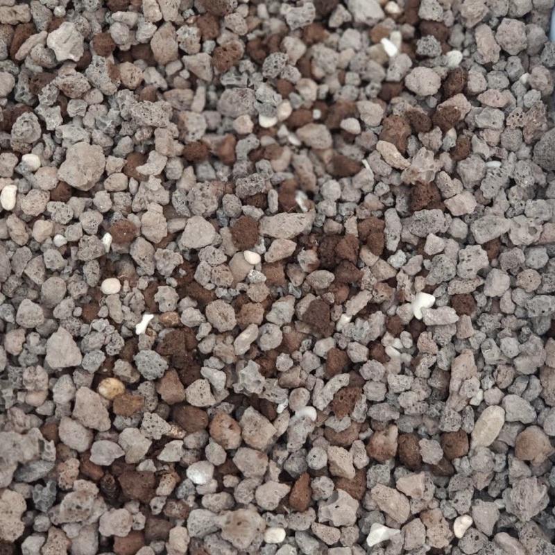 現貨【滿額免運】 紅火山石 1公升 鋪面介質 多肉 仙人掌 塊根 【外星人的植物園】-細節圖2