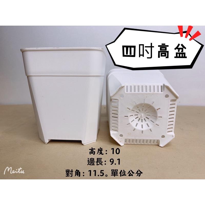 現貨【滿額免運】透氣盆 三吋 四吋  多肉 仙人掌 塊根 萬用盆 盆器 【外星人的植物園】-細節圖2