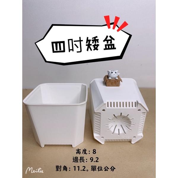 現貨【滿額免運】透氣盆 三吋 四吋  多肉 仙人掌 塊根 萬用盆 盆器 【外星人的植物園】-細節圖3