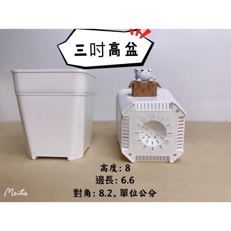 現貨【滿額免運】透氣盆 三吋 四吋  多肉 仙人掌 塊根 萬用盆 盆器 【外星人的植物園】-細節圖4