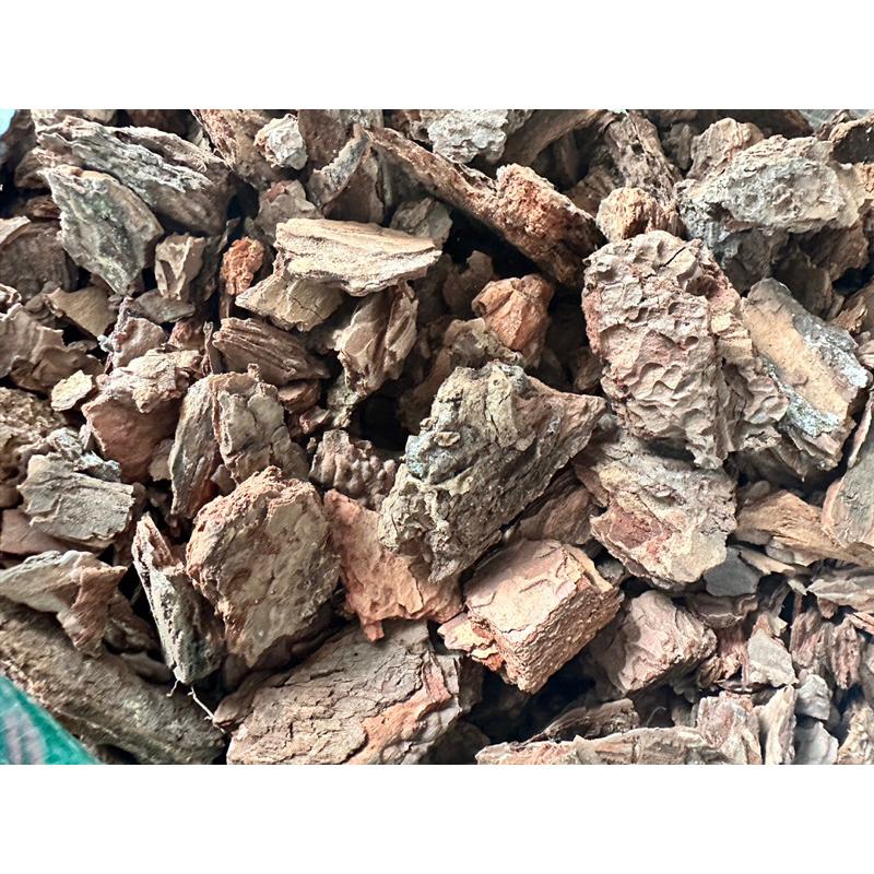 現貨【滿額免運】松樹皮 園藝用樹皮 天然樹皮 觀葉 鋪面 蕨類 【外星人的植物園】-細節圖2