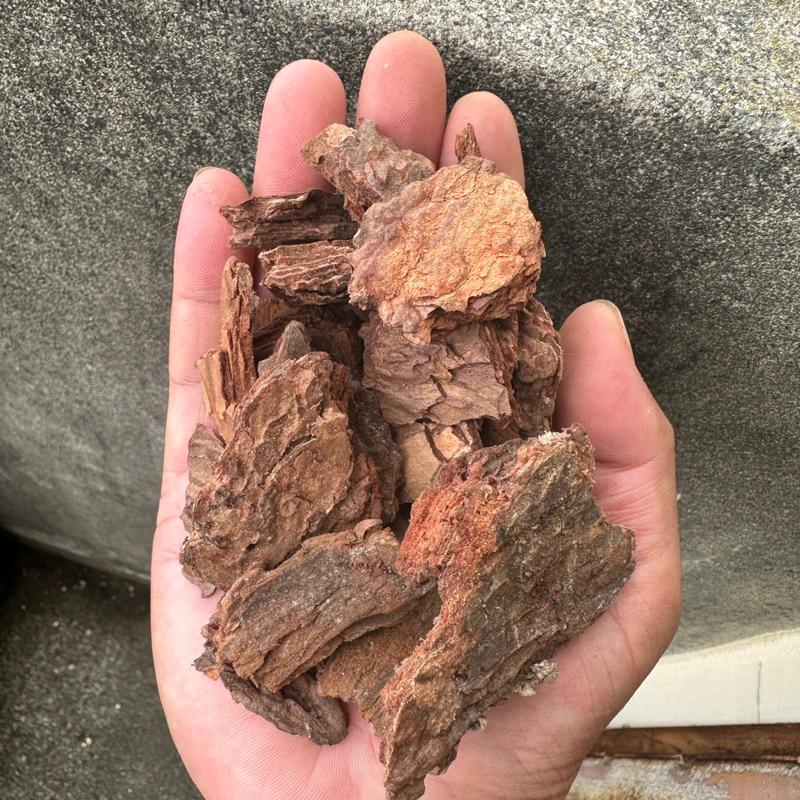 現貨【滿額免運】松樹皮 園藝用樹皮 天然樹皮 觀葉 鋪面 蕨類 【外星人的植物園】-細節圖3