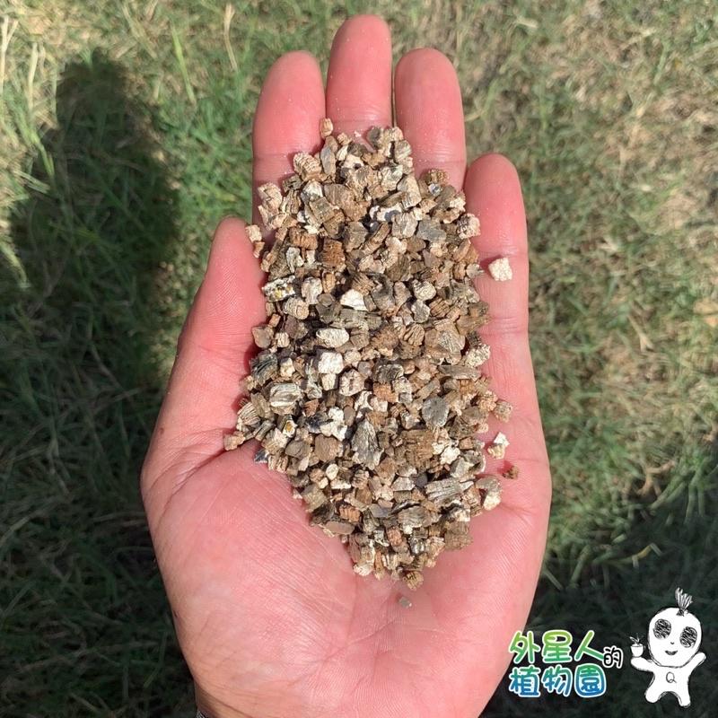 現貨 【滿額免運】蛭石 一公升 觀葉 多肉 混合介質 【外星人的植物園】-細節圖2