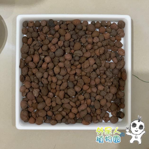 現貨【滿額免運】發泡煉石 1L 分享包 介質 鋪面 鋪底 保水 透氣 【外星人的植物園】-細節圖2