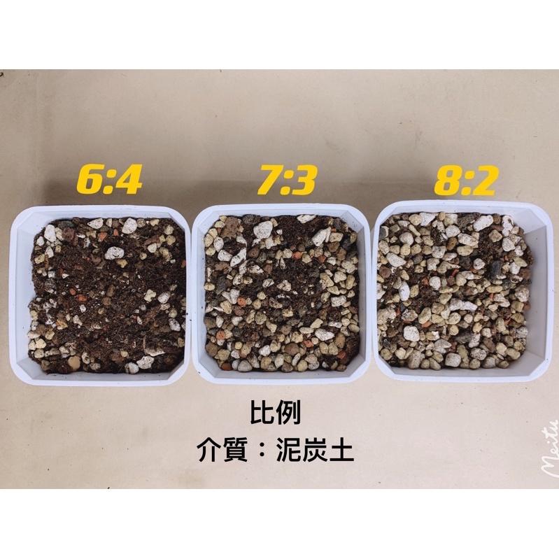 【外星人的植物園】多肉介質新手套餐 赤玉土+培養土介質+發泡煉石現貨【滿額免運】介質 火山石 配方比例 發泡煉石-細節圖2