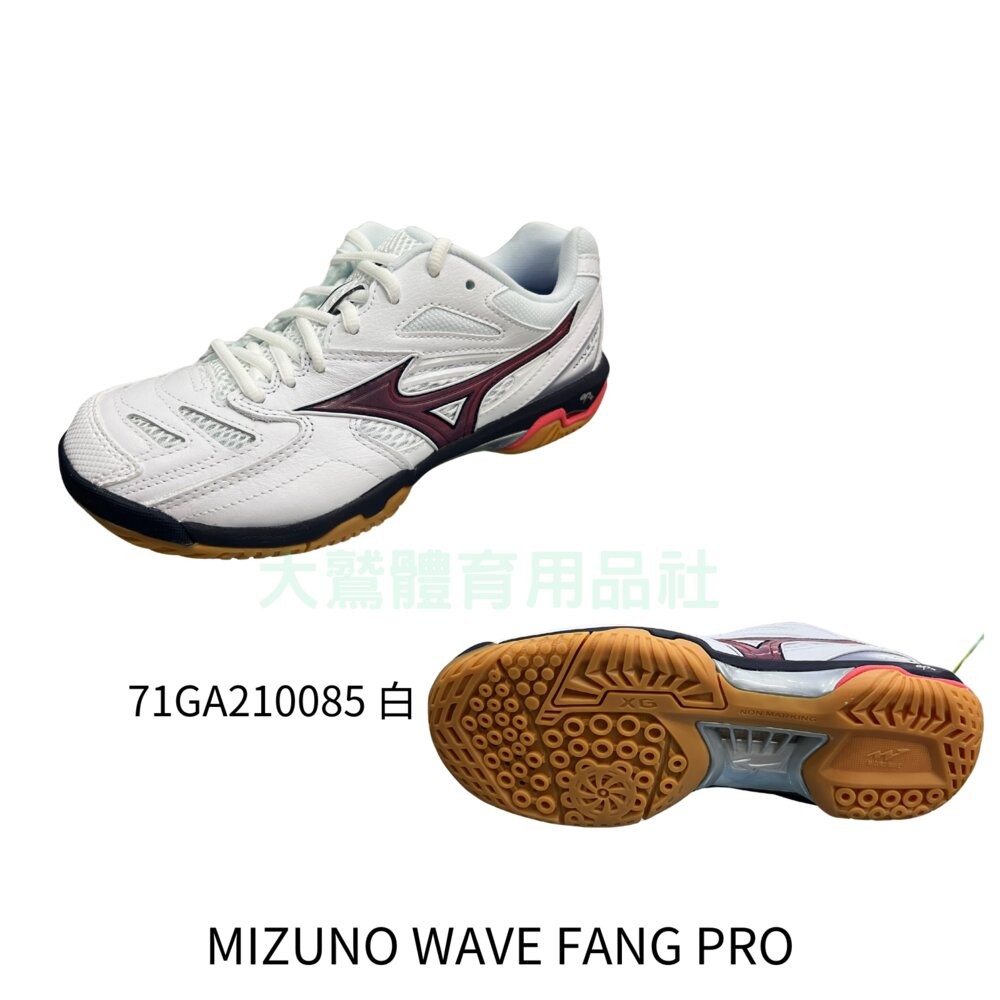 [大鷲體育]MIZUNO 71GA210085 WAVE FANG PRO 羽球鞋-規格圖1