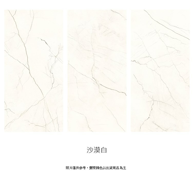 【磁。磚心一意】進口磚 120*260CM大板磚 電視牆 背牆-細節圖2