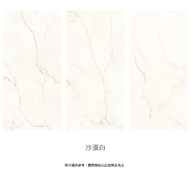 【磁。磚心一意】進口磚 120*260CM大板磚 電視牆 背牆-細節圖3