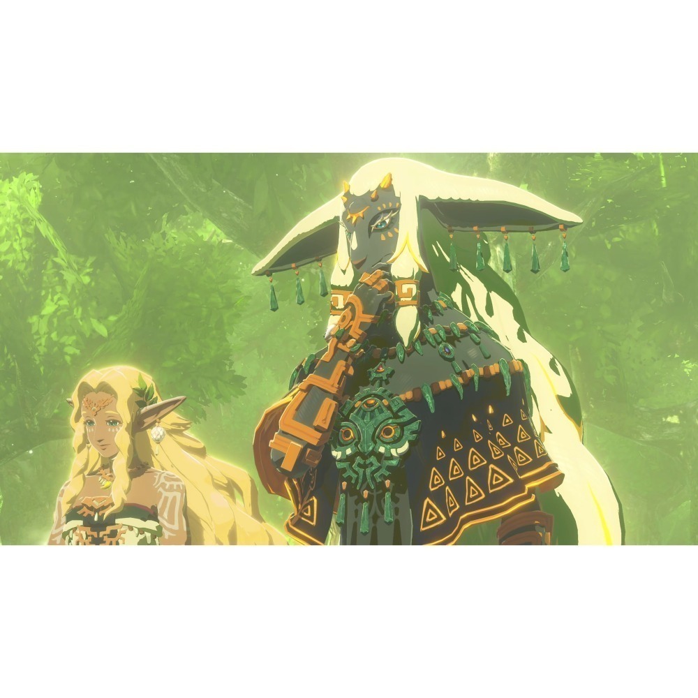 任天堂 Switch2 薩爾達無雙 封印戰記 中文版【現貨】NS2 遊戲片 台灣公司貨 ZELDA 無雙-細節圖3