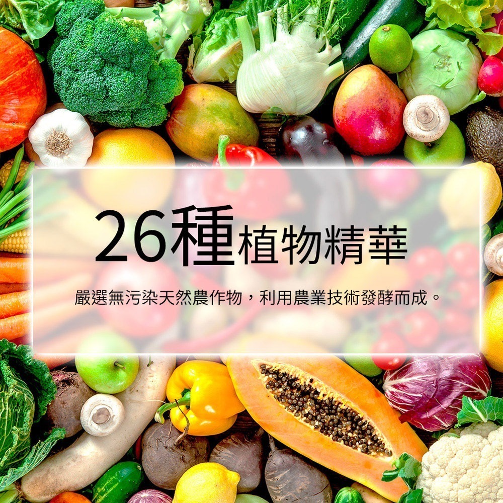 S 輕盈凍-細節圖5