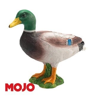 MOJO FUN 動物模型 動物星球頻道獨家授權-綠頭鴨 387127 教具 擺飾