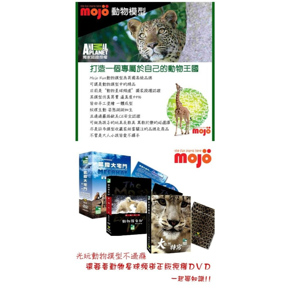 MOJO FUN 動物模型 小羊駝 387392 教具-細節圖4