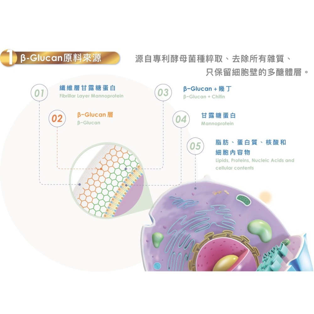 多補多β-Glucan黃金配方15克（大包裝）3小包=1包-細節圖5