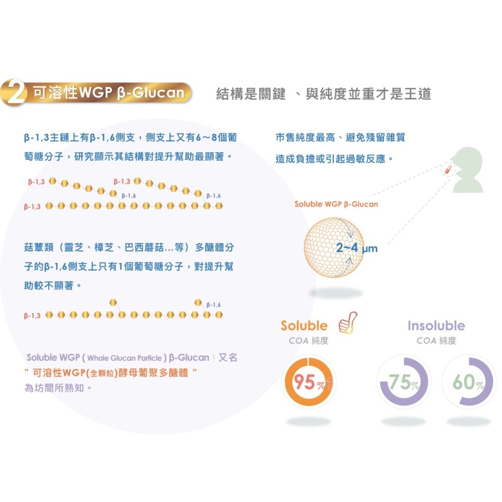 多補多β-Glucan黃金配方15克（大包裝）3小包=1包-細節圖6