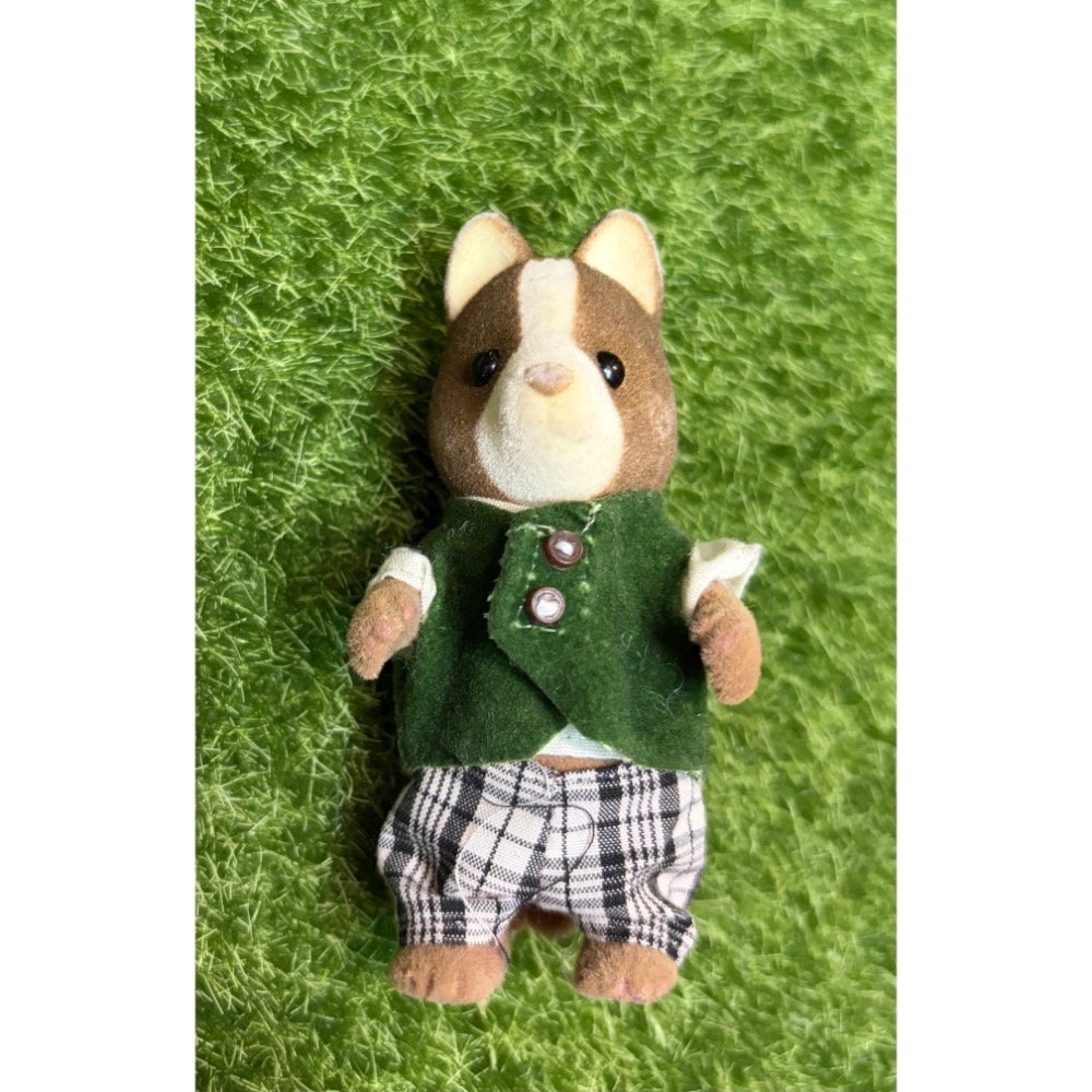 馬龍犬/獵犬爸爸綠頂小學校-細節圖2