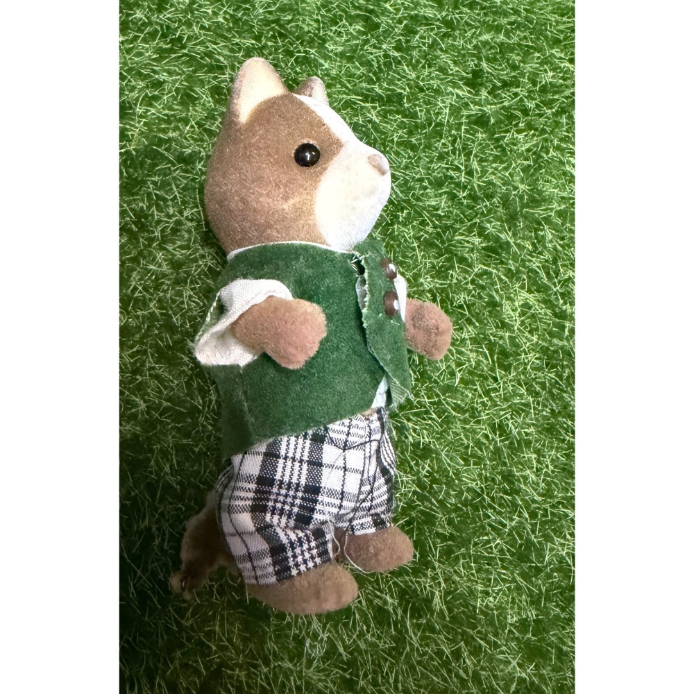 馬龍犬/獵犬爸爸綠頂小學校-細節圖9